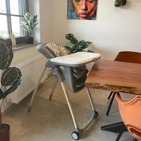 Schwarzwaldperle #10 Apartament